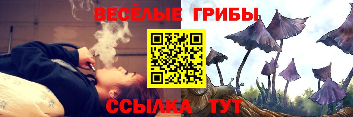 Псилоцибиновые грибы GOLDEN TEACHER  Галлюциногенные грибы мухоморы  Светлоград  Вход с VPN 
